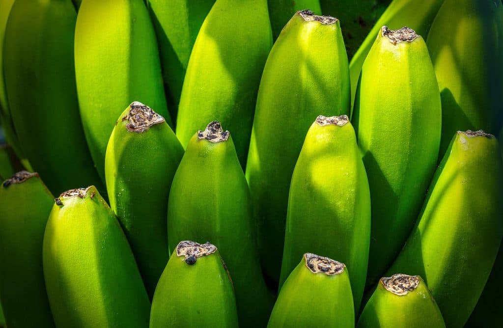 Japans exportökning ökar med 17 procent – handelsbalansen påverkas