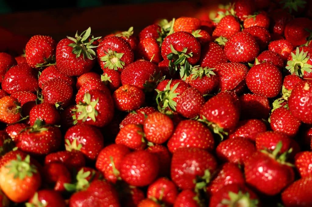 Dyrare jordgubbar till midsommar – priserna kan stiga